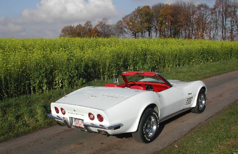 MARTINSRANCH 72 Stingray white red (20) 